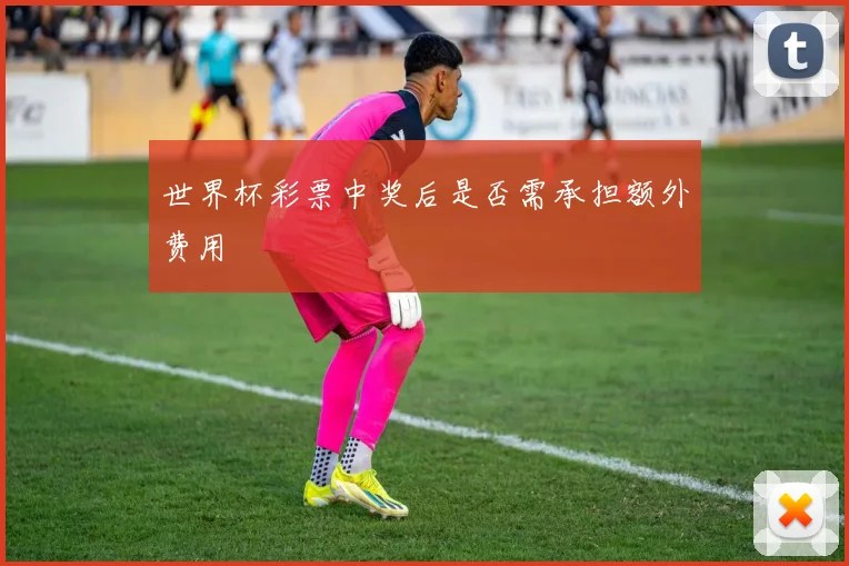 世界杯彩票中奖后是否需承担额外费用
