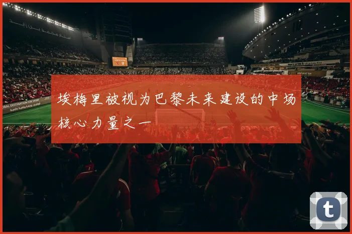埃梅里被视为巴黎未来建设的中场核心力量之一