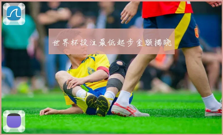 世界杯投注最低起步金额揭晓
