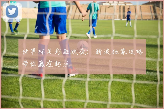 世界杯足彩狂欢夜：新浪独家攻略带你赢在起点
