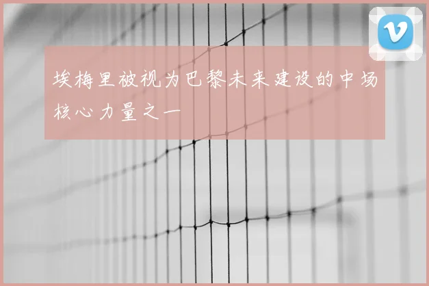 埃梅里被视为巴黎未来建设的中场核心力量之一